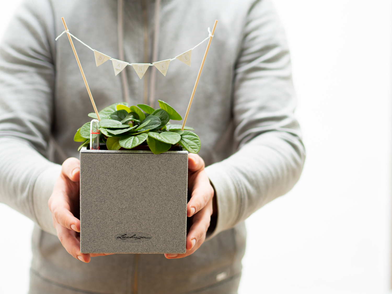 DIY: Drei grüne Geschenkidee mit Planttoppern